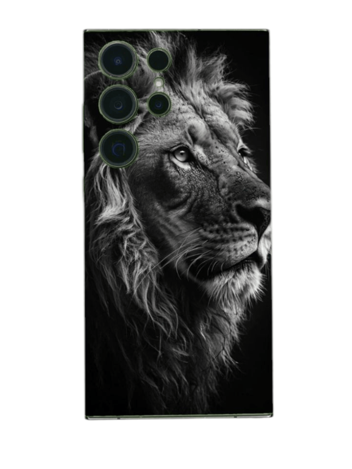 Arctic Shield BackSkin – Lion's Gaze asennettuna